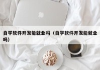 自學軟件開發(fā)能就業(yè)嗎（自學軟件開發(fā)能就業(yè)嗎）